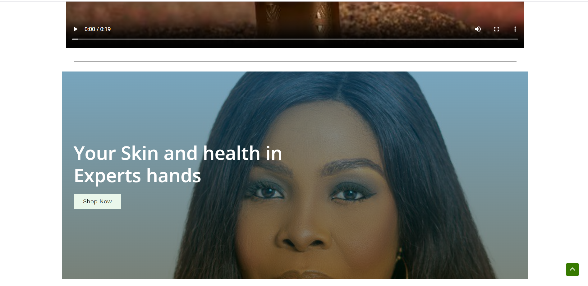 A Health and Fitness Web-App; A trusted Client's home page.